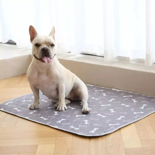 CleanStep - Ultra-Absorbent, Washable Dog Mat for Clean & Dry Paws